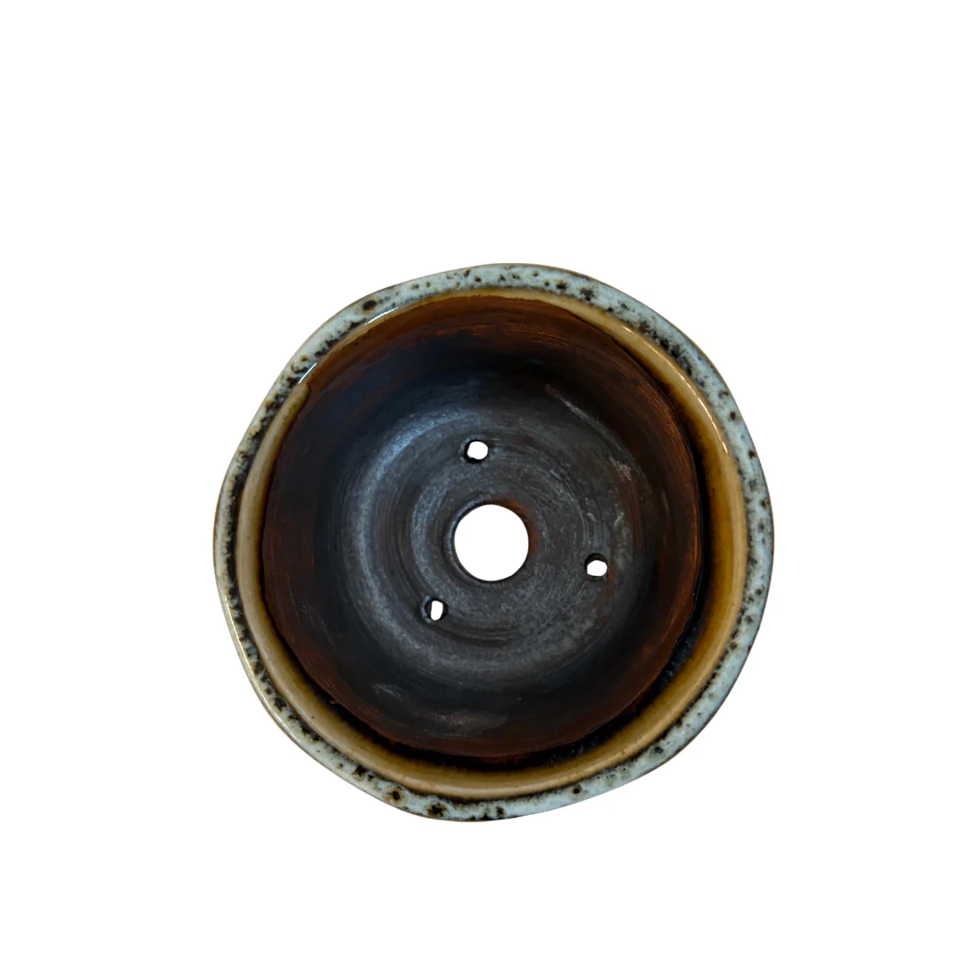 Shohin Bonsai pot bruin crème René Lecocq 9cm - Image 5