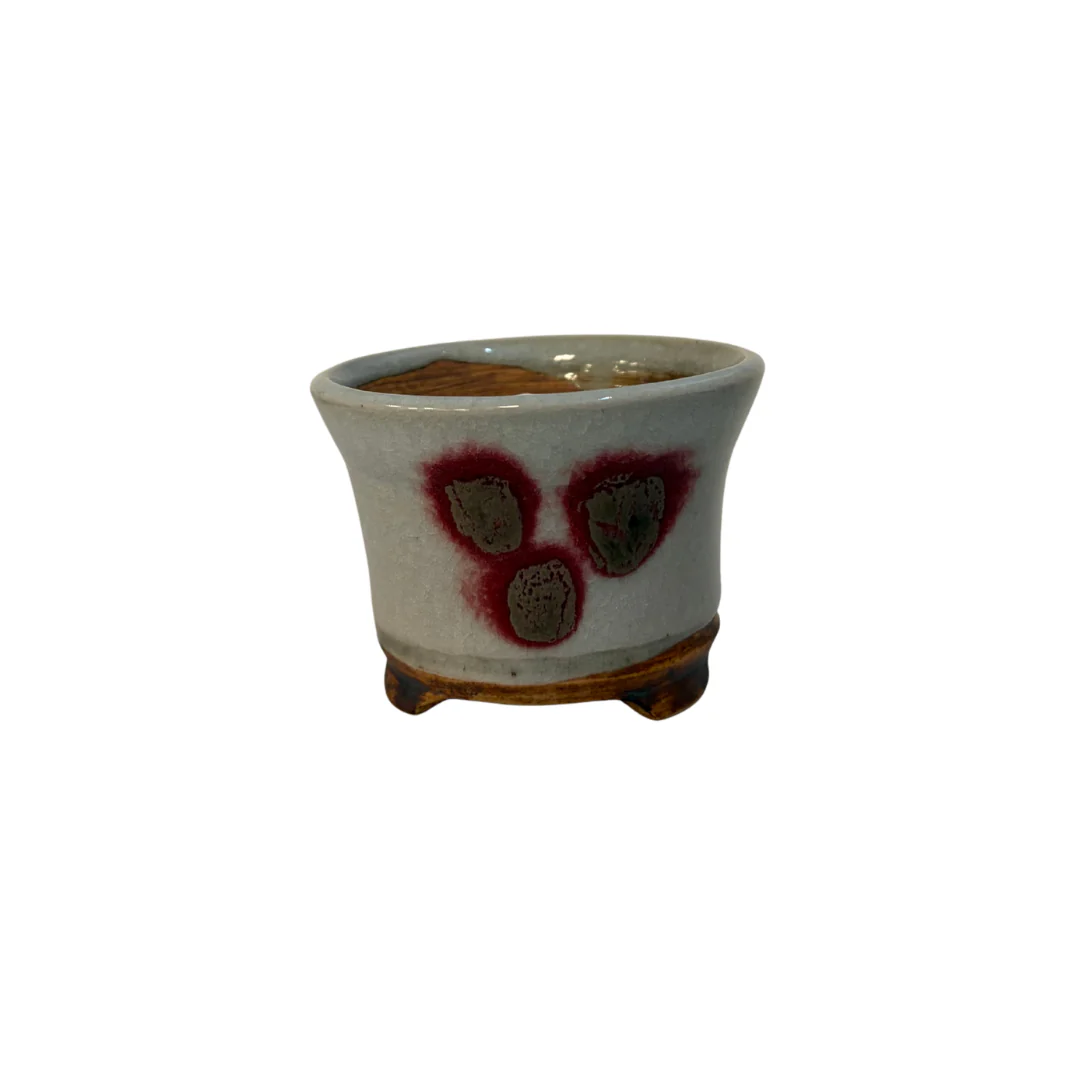 Shohin Bonsai pot crème met zachte ronde vlekken René Lecocq 9cm