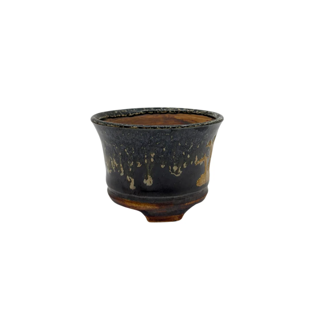 Shohin Bonsai pot zwart met goud René Lecocq 9cm - Image 2