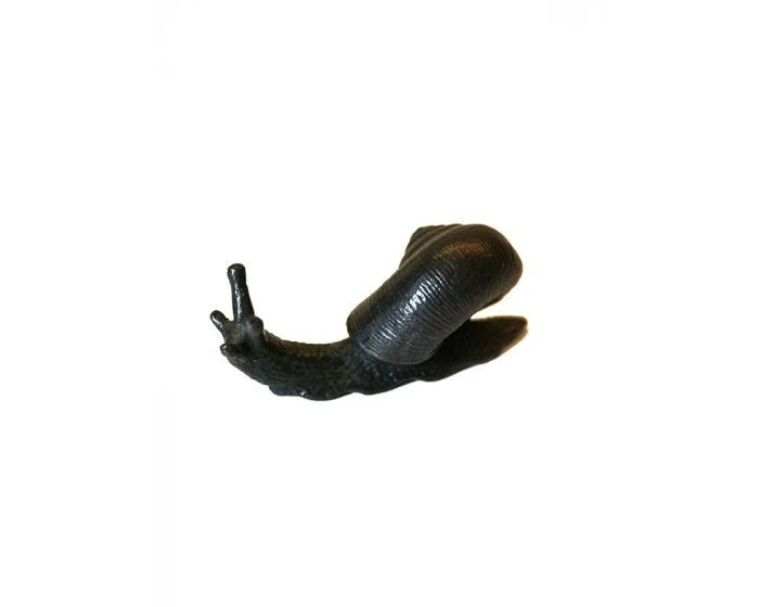Bonsai Tenpai / Slak groot en klein set (brons) - Image 3